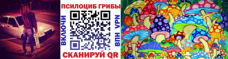 как найти закладки Венёв Псилоцибиновые грибы Magic Shrooms
