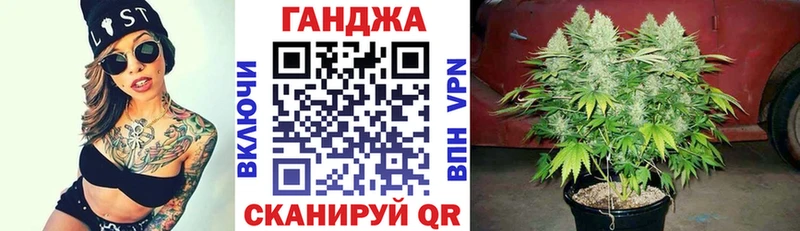 Конопля OG Kush  Венёв 